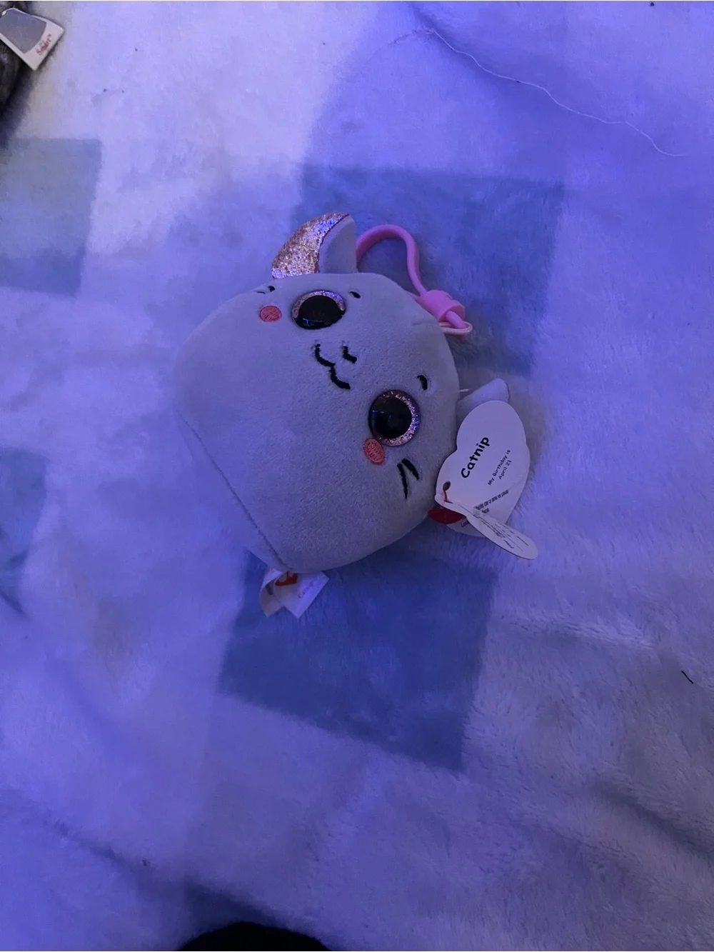 Ty Plush Pet Set -Multicolor Beanie Buddies ALL OFFERS EXPECTED ASAP!!!!!